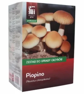 100 tipů na vánoční dárky 9 2023 11 11 09h43 55
