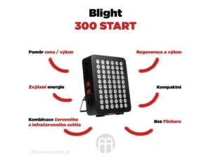 100 tipů na vánoční dárky 82 34044 2 blight 300 start pavucina brainmarket cz