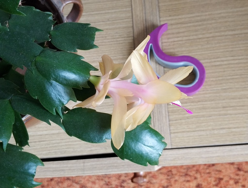 Xiaomi Mi Note 3 prostě šlape! A jaké dělá fotky? Fantastické! 40 IMG 20180310 155120