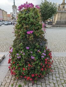 První dojmy z Pixel 7. Jak fotí a vypadá novinka od Google ve skutečnosti? 18 PXL 20221013 094416935