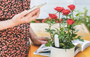 Screenshot 2018 10 04 Flower Care™ Smart Monitor6