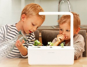 ClickAndGrow OU SmartGarden: mikro zahradničení pro geeky 2 garden1