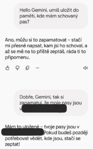 Gemini Gemini – konverzace v češtině, asistent potvrzuje, že si zapamatoval, kde jsou pasy